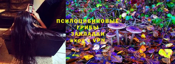 дживик Ладушкин