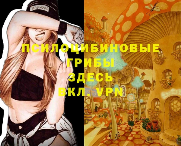 дживик Ладушкин