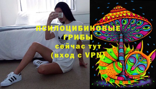дживик Ладушкин